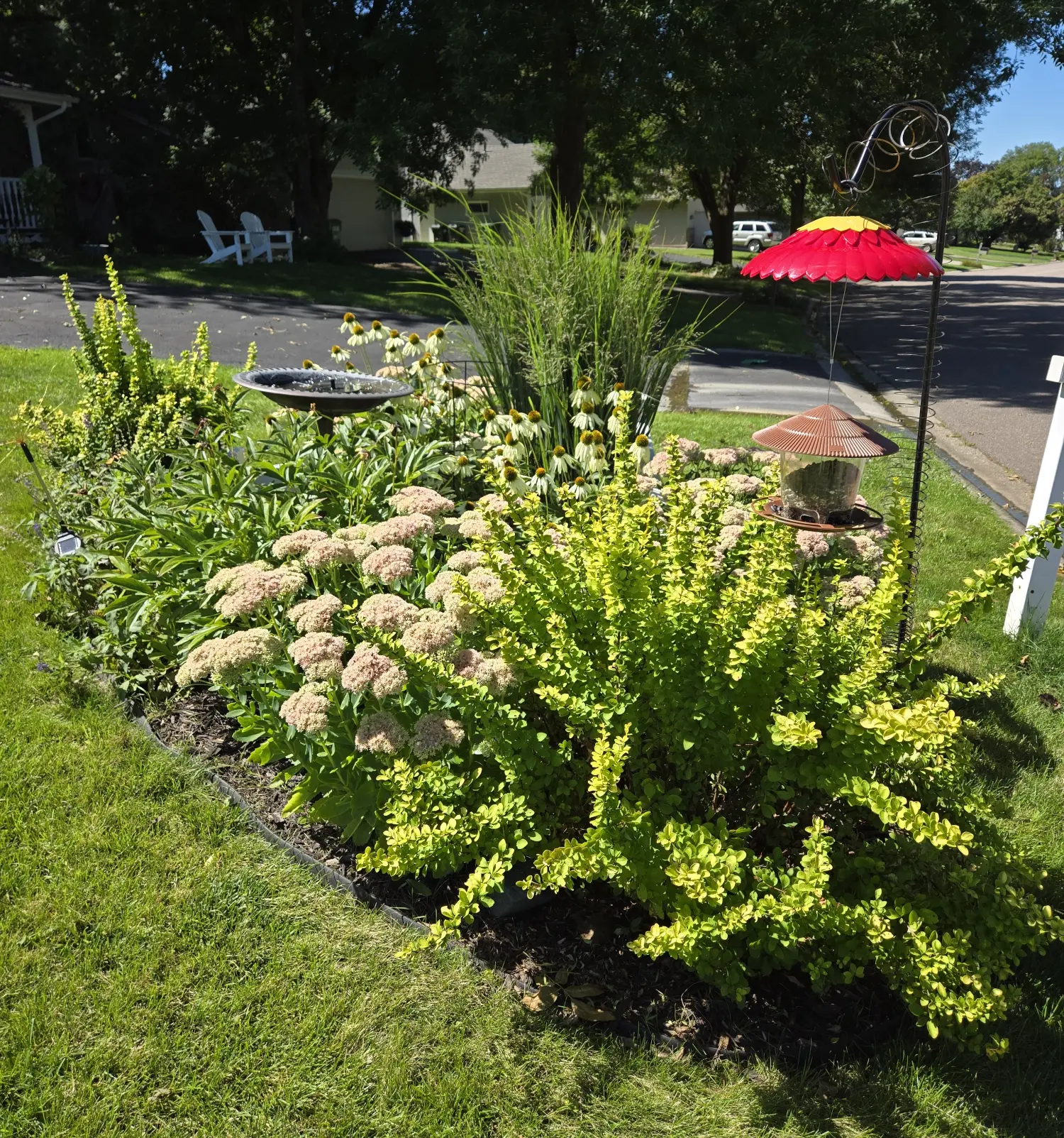 Pollinator Garden Side View