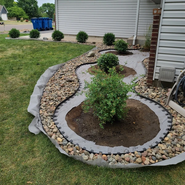 a garden with newly added rocks around shrubs