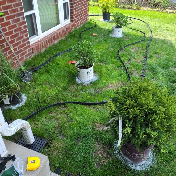 a yard with plants and garden edging