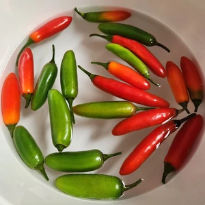 view of red and green hot peppers floating in a bowl of water
