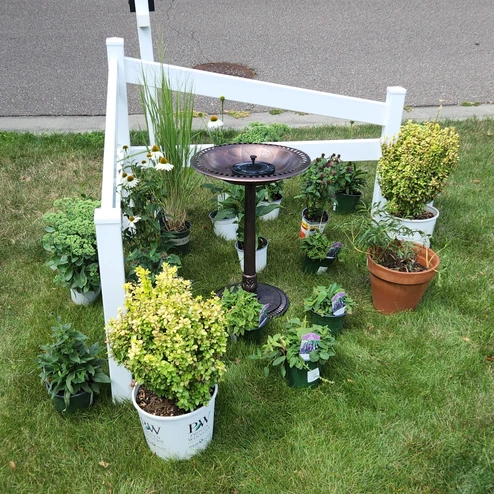 a fountain in a yard with potted plants surrounding the fountain