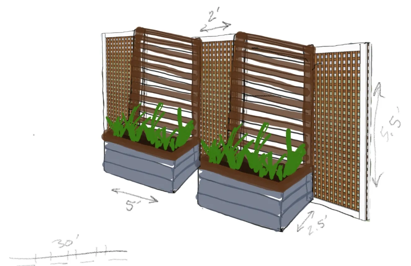 Garden sketch