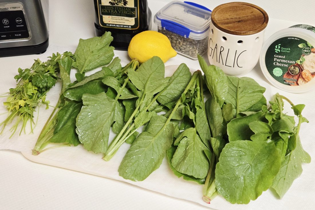 Spring Harvesting Plants for a Gardener’s Instant Gratification