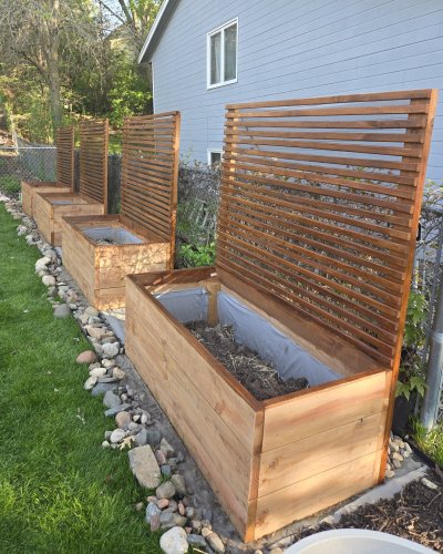side view of several raised garden beds that are currently empty, currently having the wood stained a dark walnut color